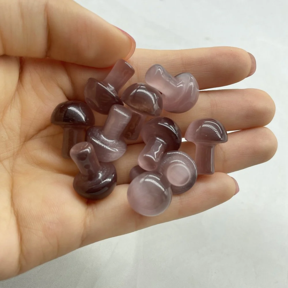 7 Types Mini Mushroom Wholesale - Image 3