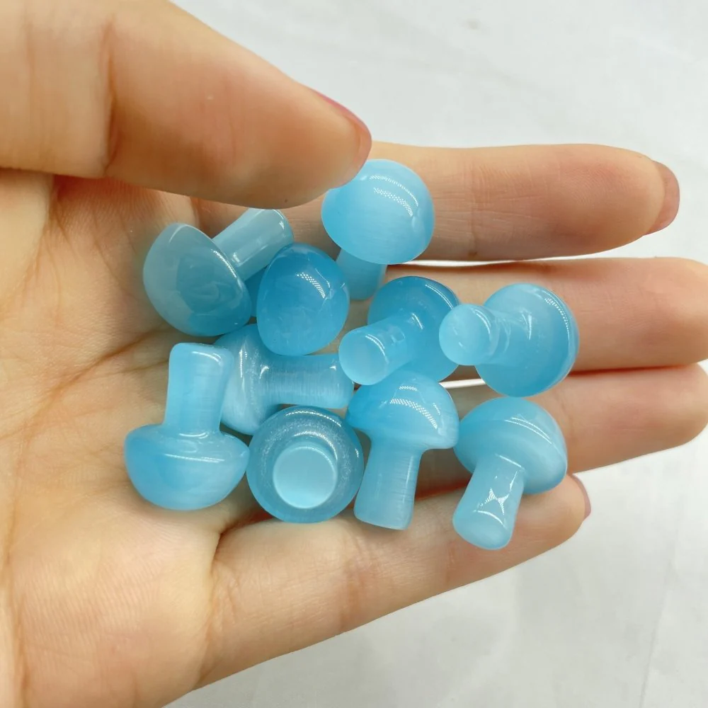 7 Types Mini Mushroom Wholesale - Image 4