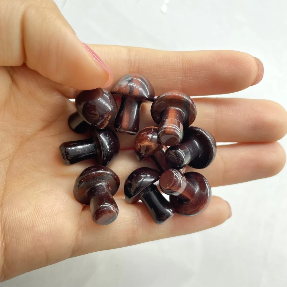 7 Types Mini Mushroom Wholesale - Image 5