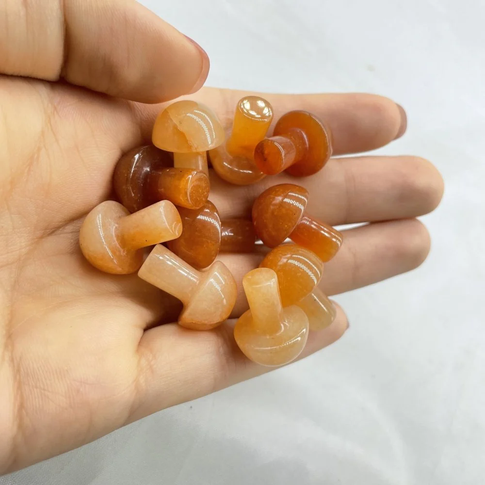 7 Types Mini Mushroom Wholesale - Image 6