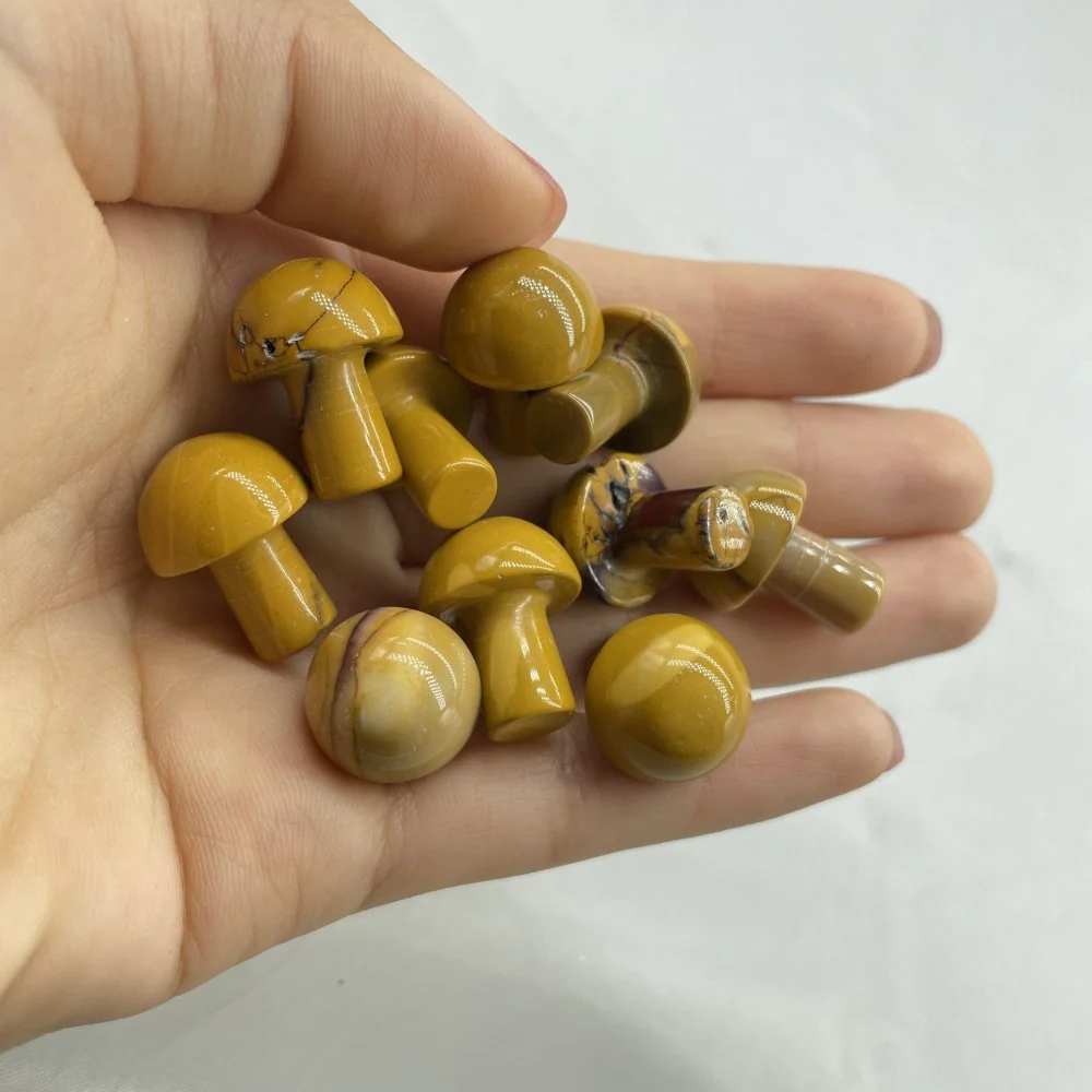 7 Types Mini Mushroom Wholesale - Image 7