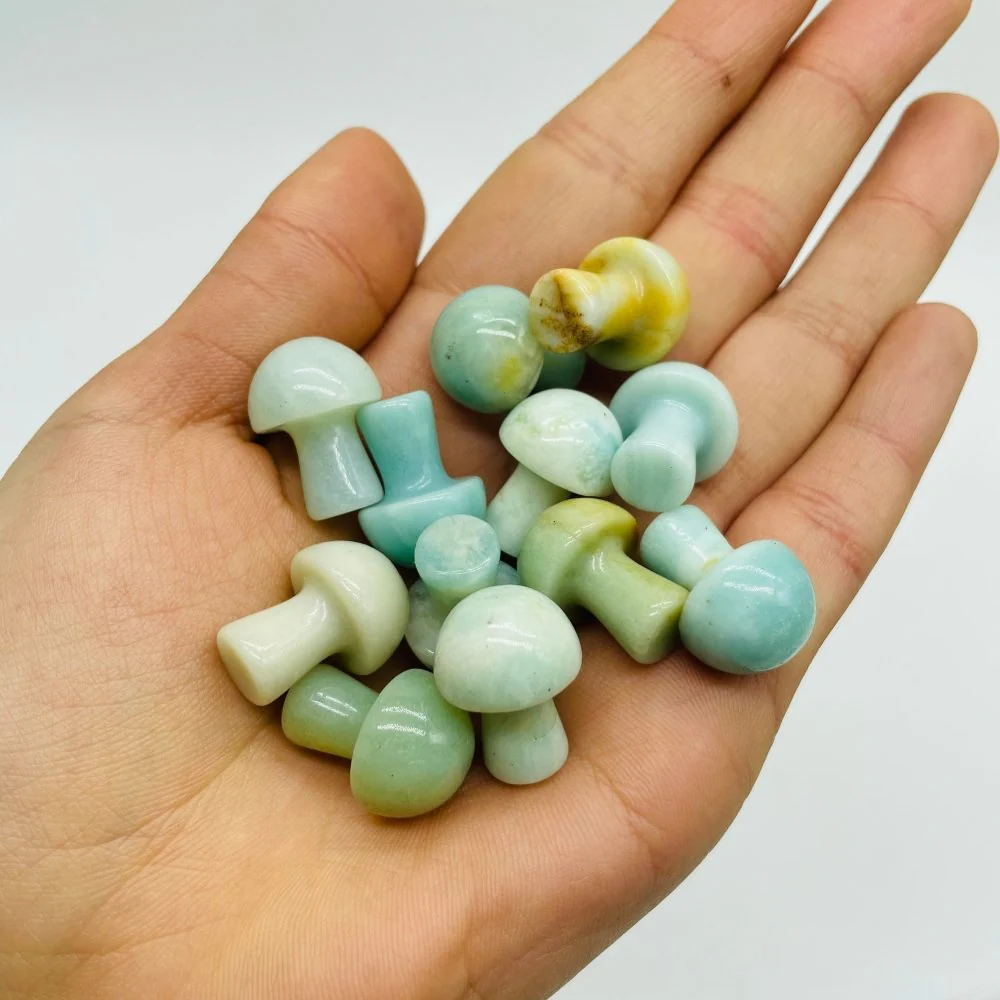 7 Types Mini Mushroom Wholesale - Image 8