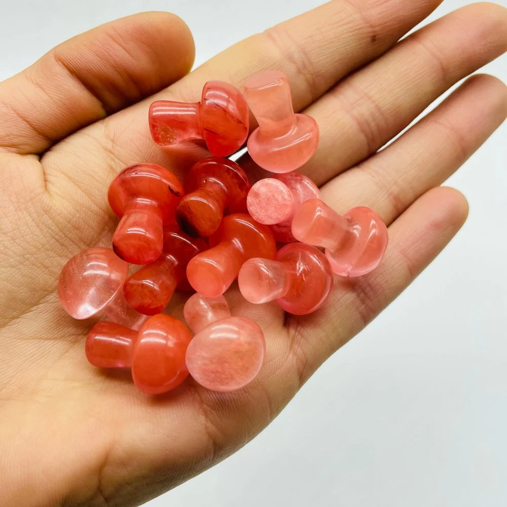 7 Types Mini Mushroom Wholesale - Image 9