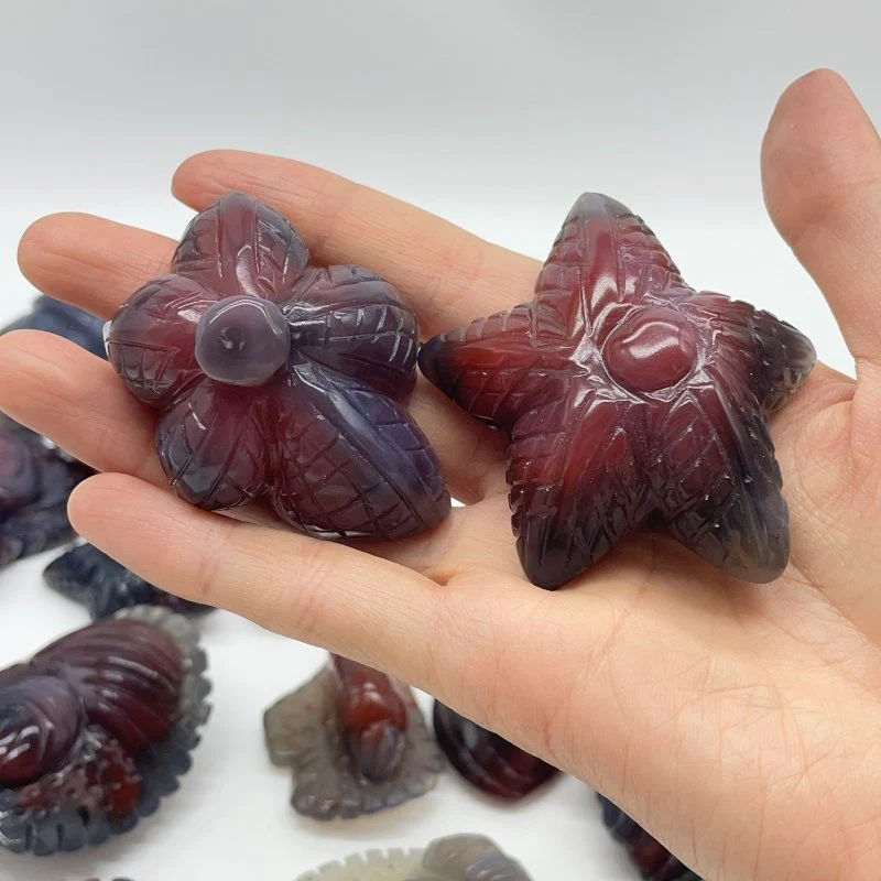 21 Pieces African Red Agate Sea Animals Carving - Image 3