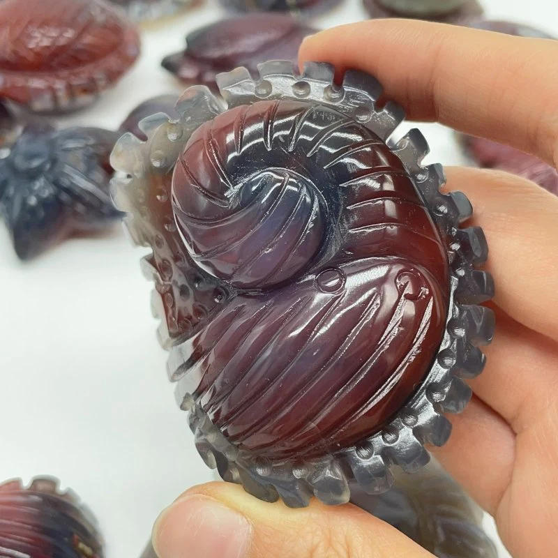 21 Pieces African Red Agate Sea Animals Carving - Image 5